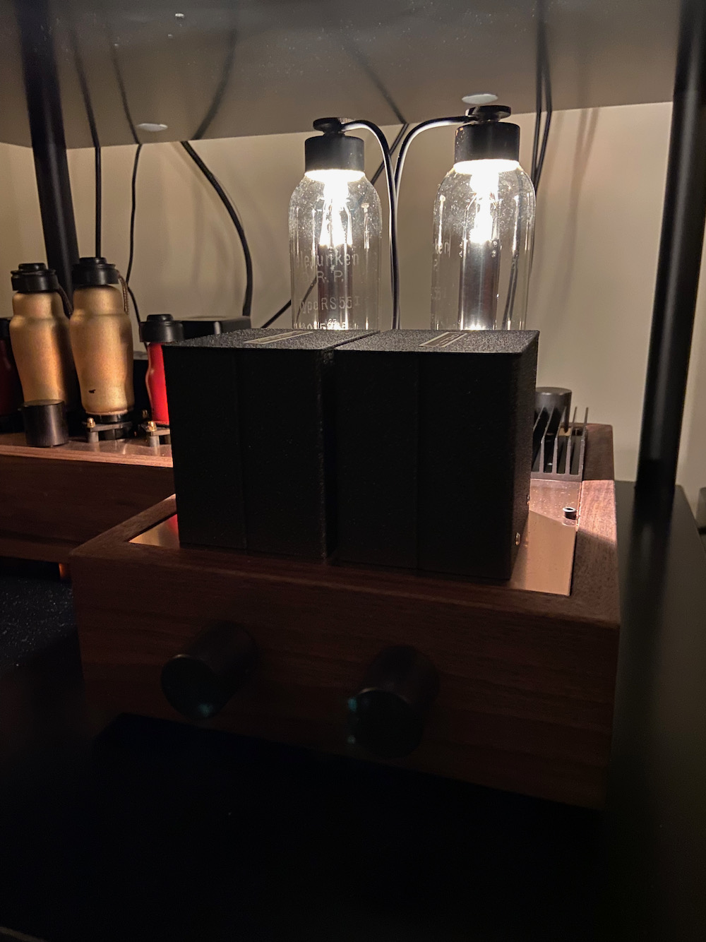 Preamplifier with Monolith and RS55
